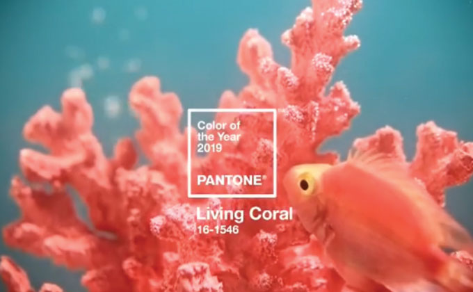 Living Coral